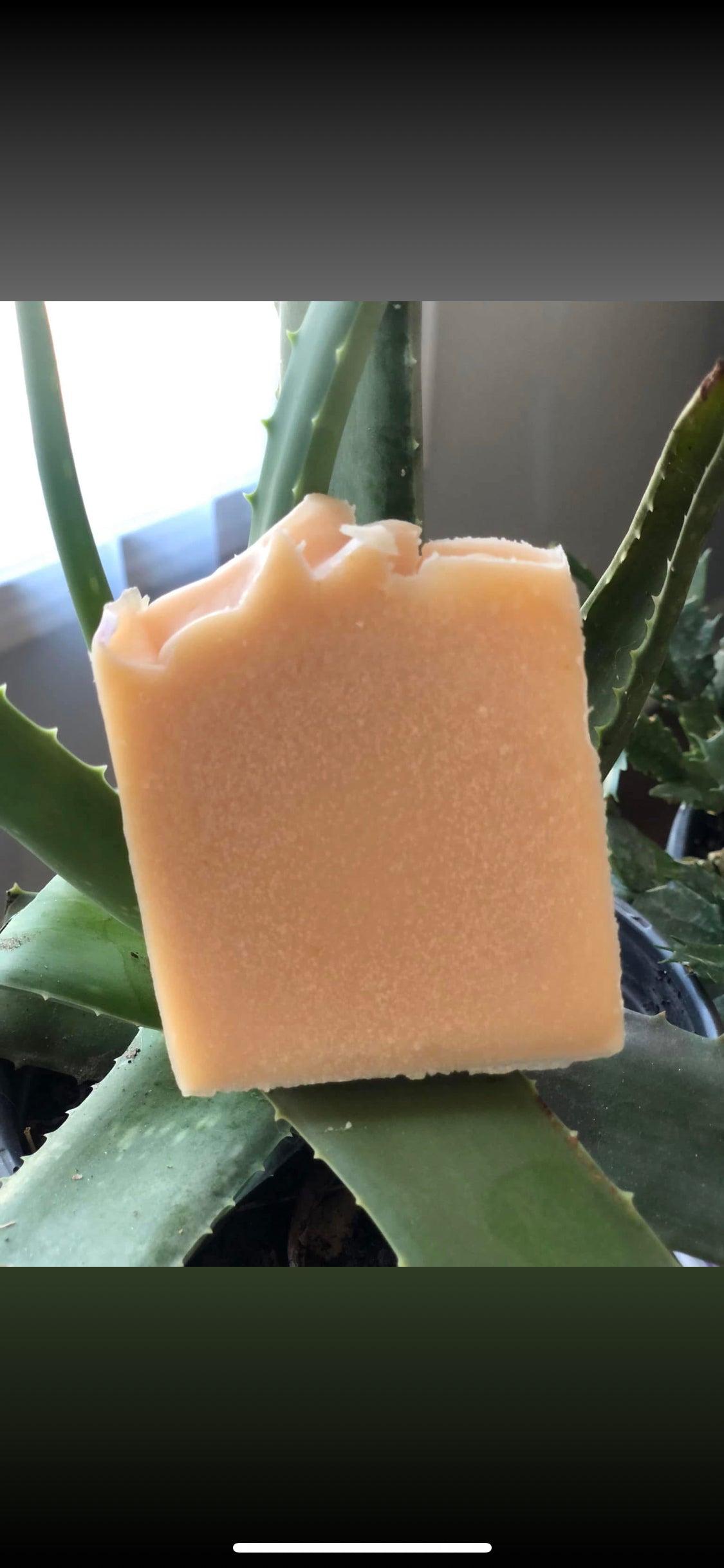 Aloe Soap Bar