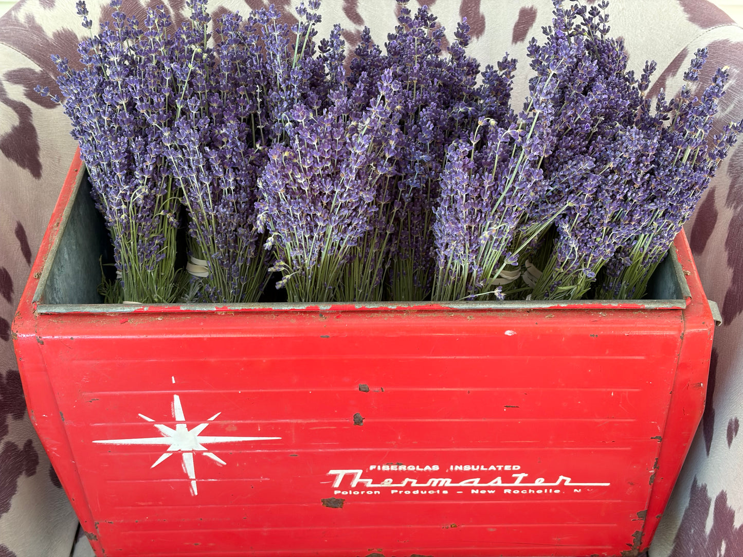 Hidecote Lavender Bundle