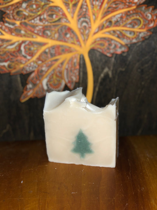 Walk in the Woods Soap Bar